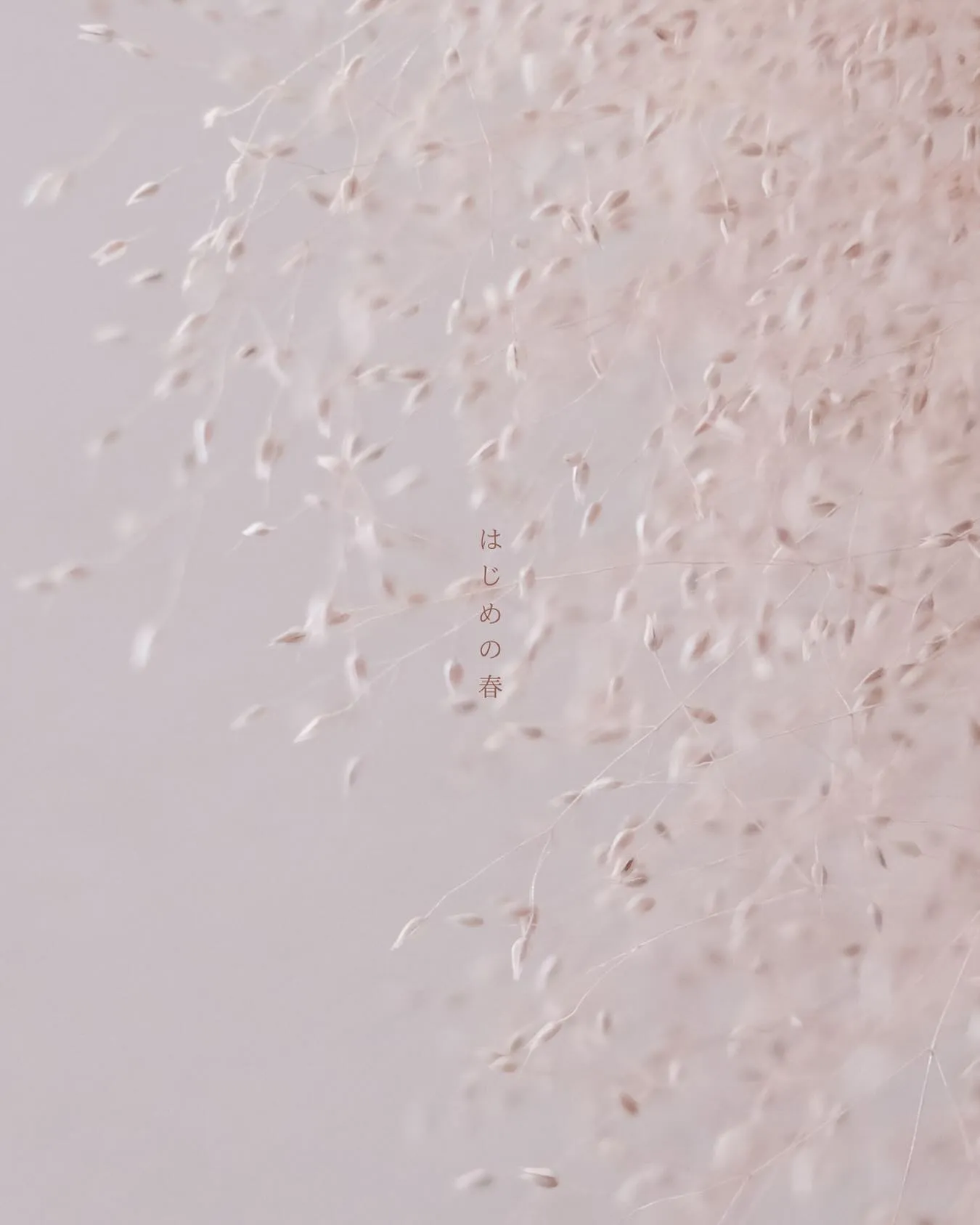 コノヒノ道具店1周年のお知らせ