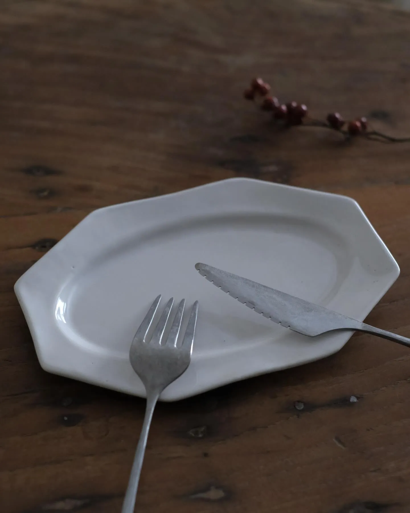 湯浅記央さんのご紹介