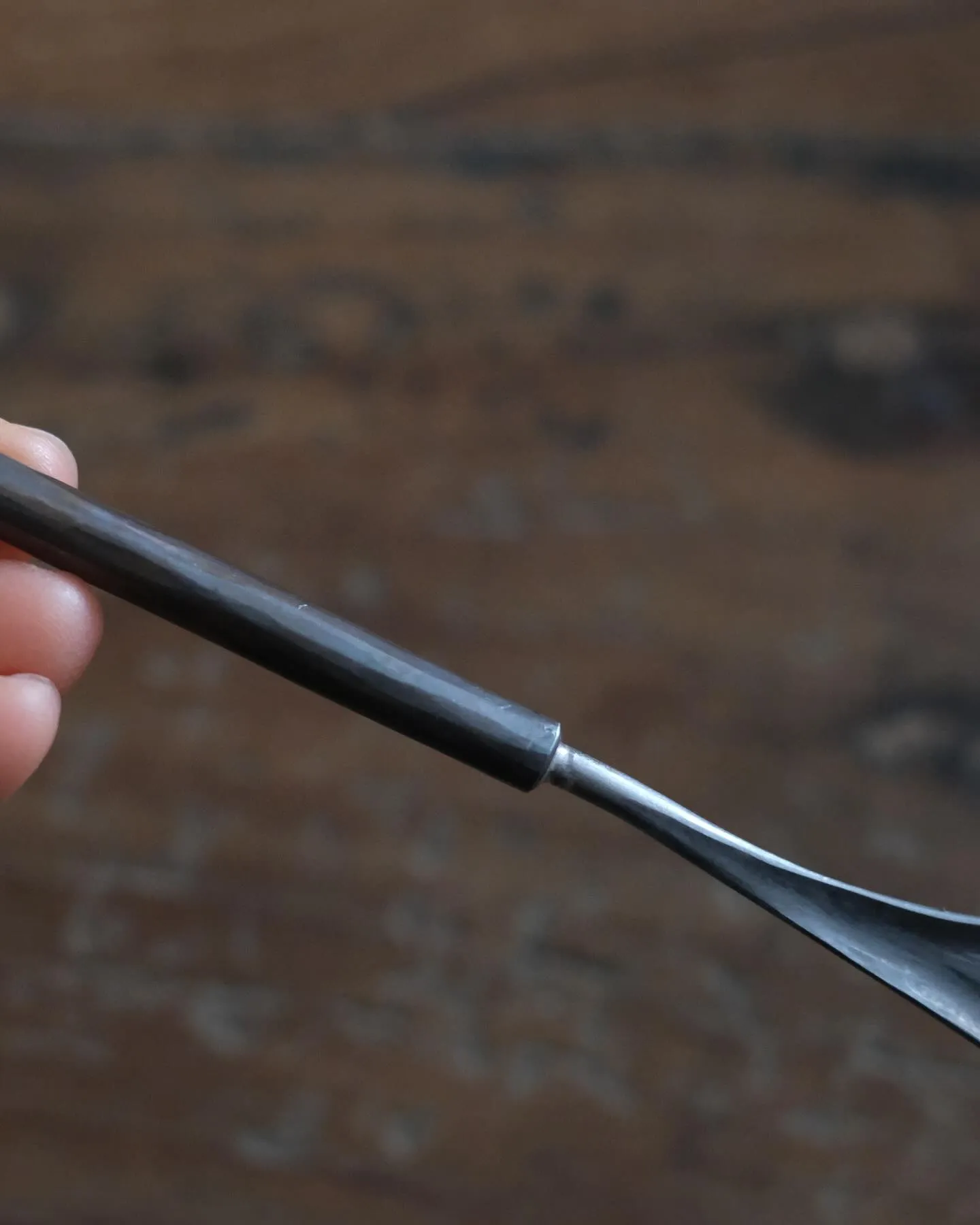 湯浅記央さんのご紹介