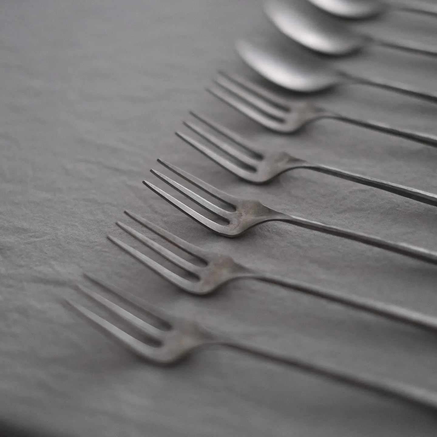 明日より コノヒノ道具店1周年記念 はじめの春 が始まります