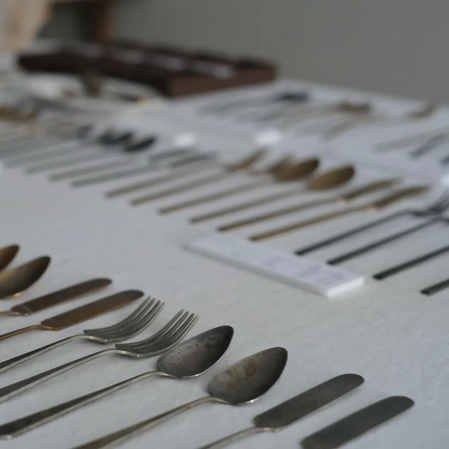 明日より コノヒノ道具店1周年記念 はじめの春 が始まります