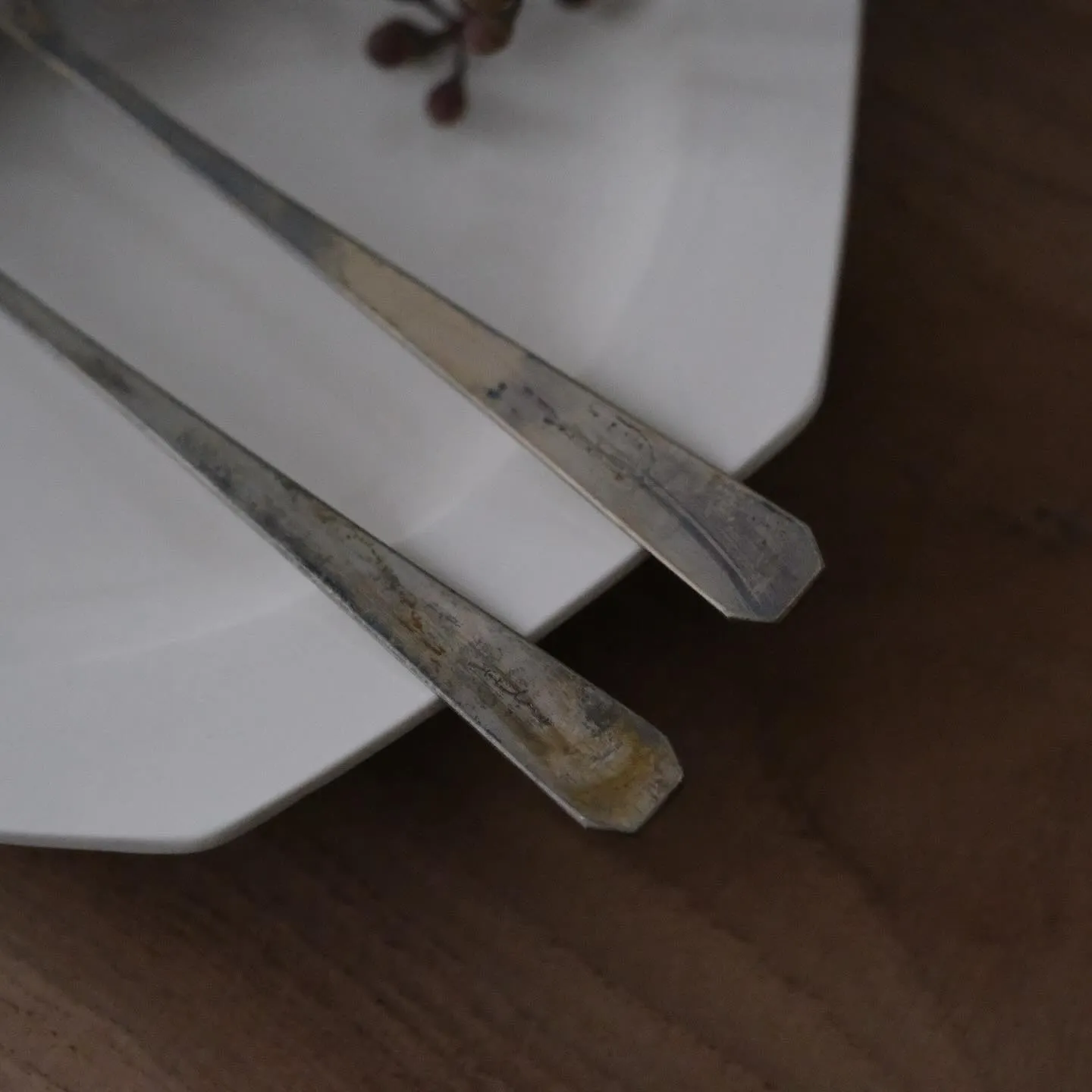 樫原ヒロ メレシリーズにディナーサイズが誕生