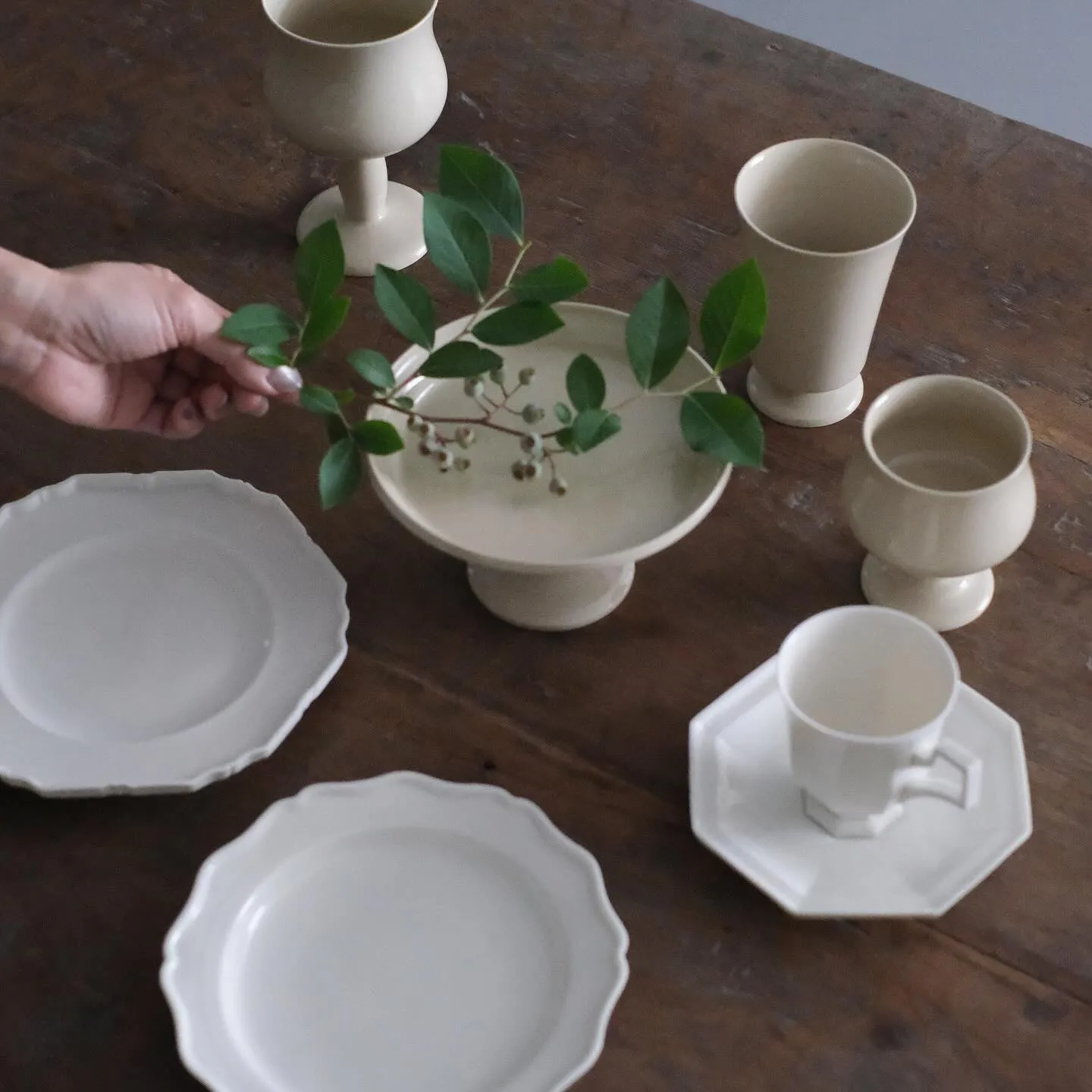 6月27日(金)より 企画展 【風薫る白】が始まります。