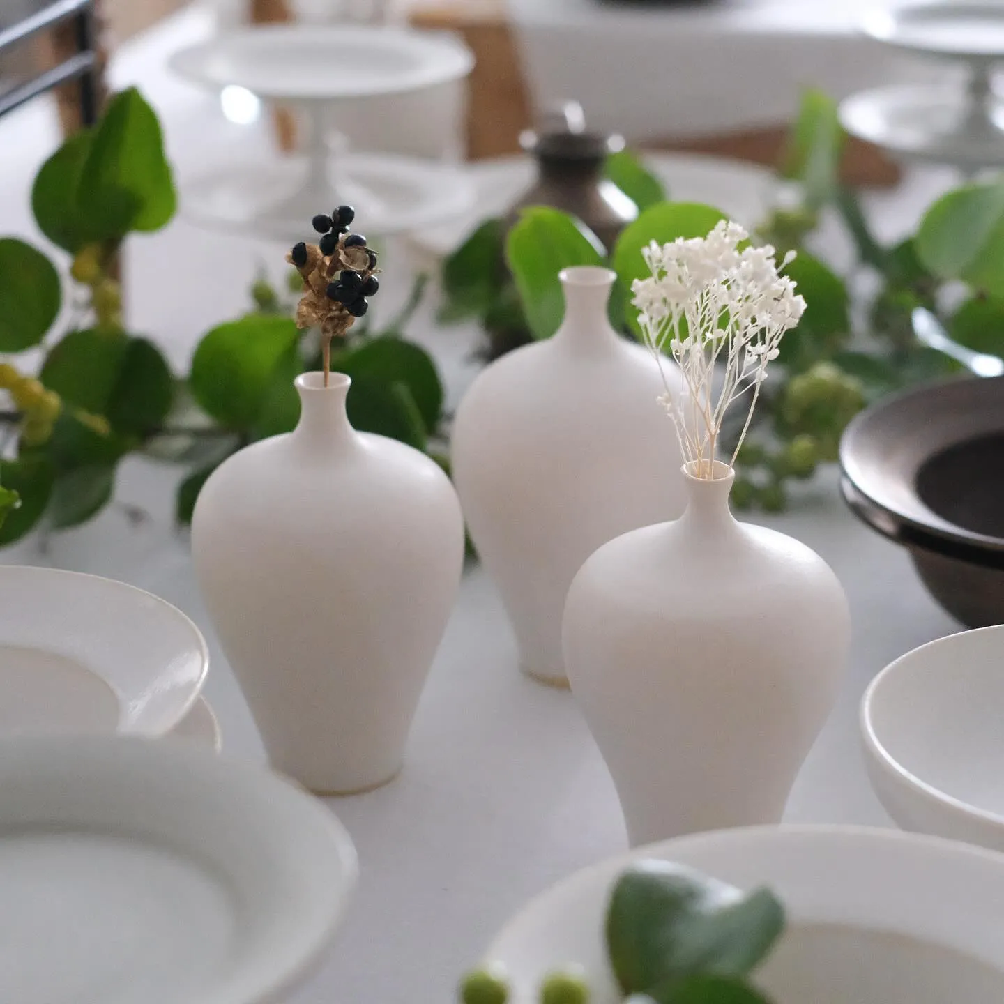 明日8月23日(土)から、サコユリコさんの個展が始まります。